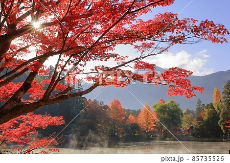 観光地の紅葉 観光地の紅葉 85735526