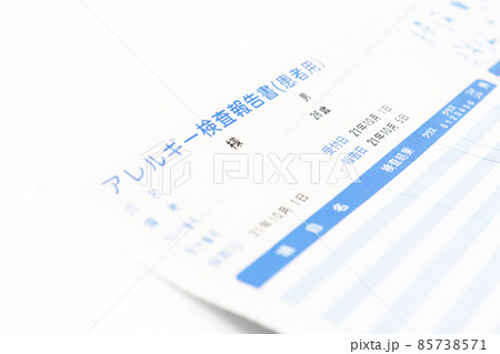 アレルギー検査結果 85738571