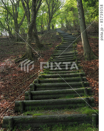 三重県 尼ヶ岳 三重県 尼ヶ岳 85739358