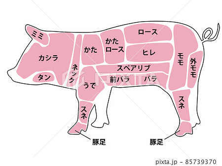 豚肉部位 85739370