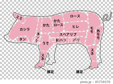 豬肉部分 85739370