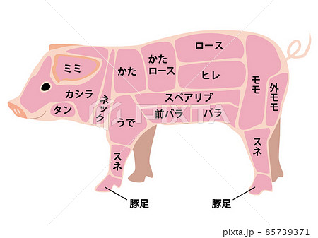 豚肉部位 85739371