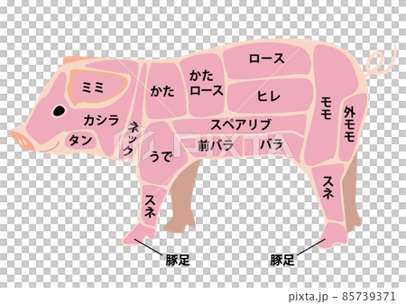 豚肉部位 85739371