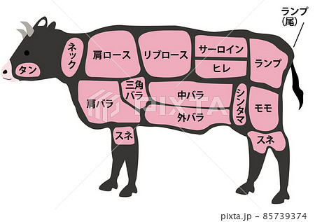 牛肉部位のイラスト素材 [85739374] - PIXTA