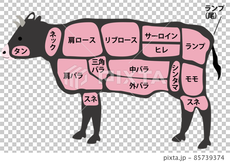 Amazon.co.jp: [サモエスキー] にく お肉 骨付き肉 マンガ肉