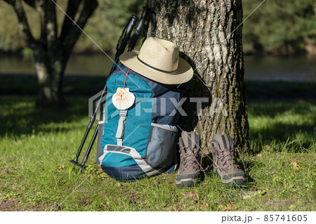 Backpack of a pilgrim leaning against a tree with a hat, trekking boots and poles in a wooded area. Camino de Santiago concept 85741605