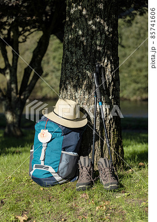 Backpack of a pilgrim leaning against a tree with a hat, trekking boots and poles in a wooded area. Camino de Santiago concept 85741606