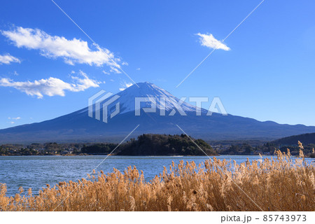 快晴の空と富士山・大石公園からの眺め 85743973