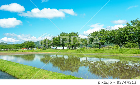旧国鉄倉吉線跡に広がる田園風景(倉吉市小鴨付近) 旧国鉄倉吉線跡に広がる田園風景(倉吉市小鴨付近) 85744513