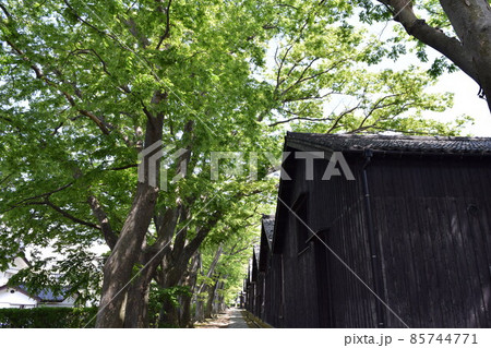 山居倉庫 国指定史跡 山居倉庫 国指定史跡 85744771