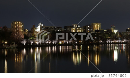 ライトアップされた大阪城と大川沿いの毛馬桜之宮公園 85744802