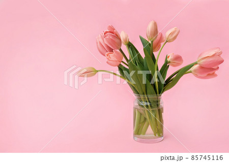 Blossoming white and light pink tulips, daffodils and spring flowers festive background, bright springtime bouquet floral card, selective focus 85745116