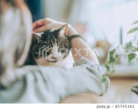 猫と飼い主 85745161