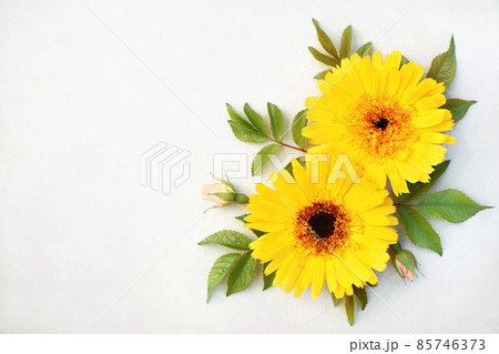 Summer or autumn blossoming chrysanthemum and pot marigold (calendula) flowers orange background, bright festive floral card 85746373