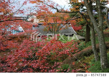 紅葉に染まる箱根美術館 85747389