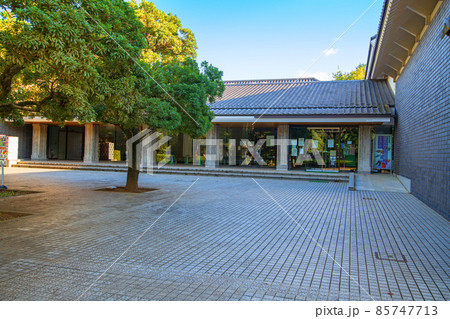 忍城 行田市郷土博物館 忍城 行田市郷土博物館 85747713