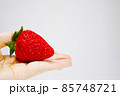 大きいイチゴ1個を手のひらに乗せる（スタジオ撮影） 85748721
