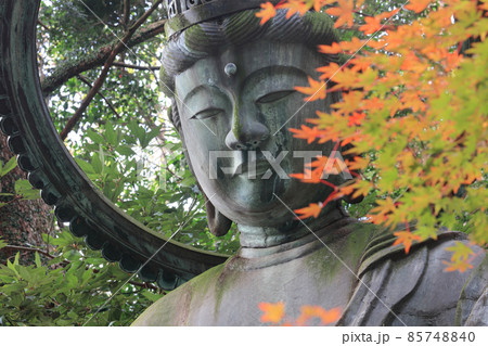 四国霊場第71番札所「弥谷寺」金剛拳菩薩立像と紅葉（色づき進む） 85748840