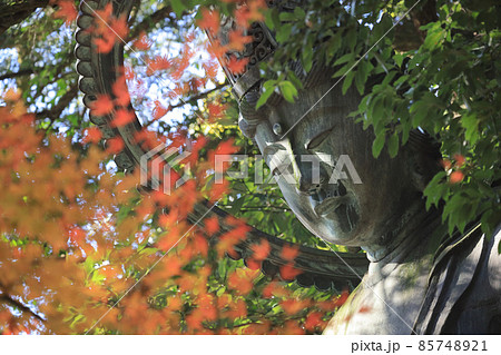 四国霊場第71番札所「弥谷寺」金剛拳菩薩立像と紅葉（見ごろ） 85748921