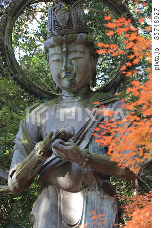 四国霊場第71番札所「弥谷寺」金剛拳菩薩立像と紅葉（見ごろ） 85748927