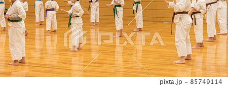 道場で空手を練習している子供たちの姿 85749114