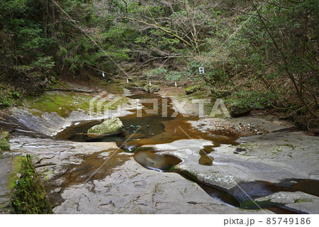龍鎮神社（奈良県宇陀市） 85749186
