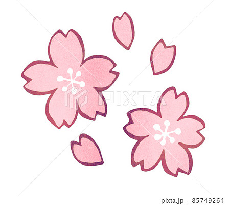 花の絵 押し花こぼれ桜