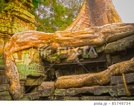 The picture of Ta Prohm Temple, Angkor in Cambodia 85749734