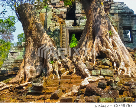 The picture of trees and temple, Angkor, Cambodia The picture of trees and temple, Angkor, Cambodia 85749767