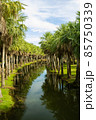 Clear streams 85750339