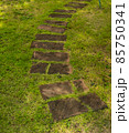 Sandstone walkway 85750341