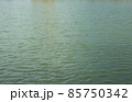 sea 85750342