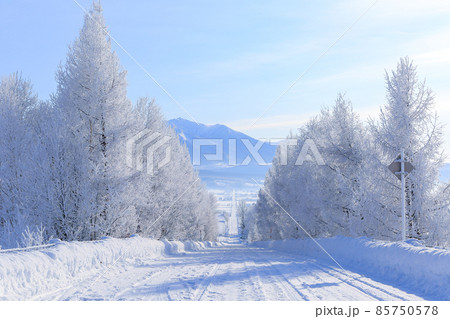霧氷の道 85750578