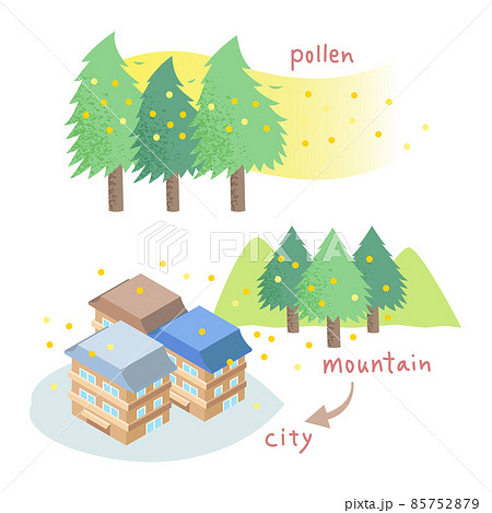 花粉が山から街に飛んでくるイラスト 説明図 図表 花粉症 スギ   85752879