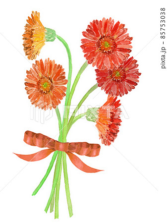オレンジ色のガーベラをリボンで束ねた花束の水彩イラスト 85753038