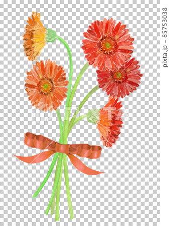 オレンジ色のガーベラをリボンで束ねた花束の水彩イラスト 85753038