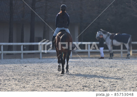 障害馬術大会　試合前のウオーミングアップ風景 85753048