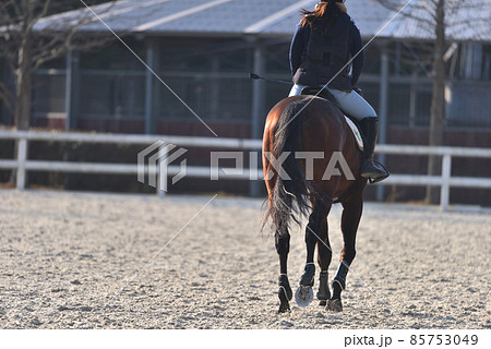 障害馬術大会　試合前のウオーミングアップ風景 85753049