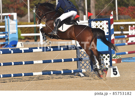 障害馬術競技　 85753182