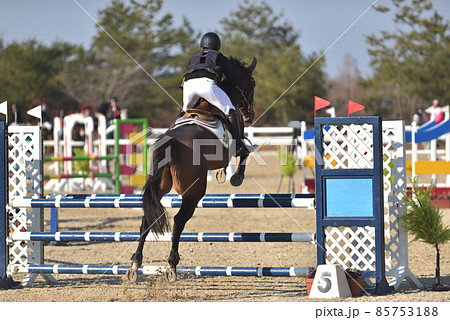 障害馬術競技　 85753188