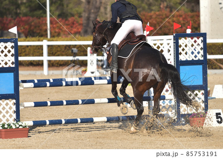 障害馬術競技　 85753191