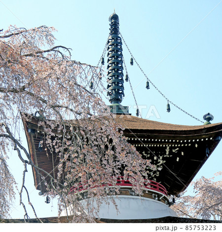 吉野山 桜 吉野山 桜 85753223