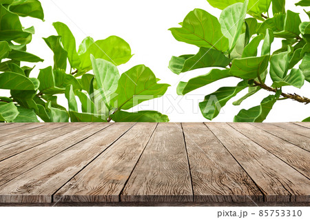 Wooden desk with fresh fig green leafs as frame Wooden stand for product advertisement background 85753310