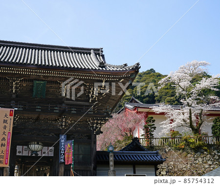 長谷寺　桜　奈良県 85754312