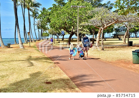 ハワイの休日 85754715