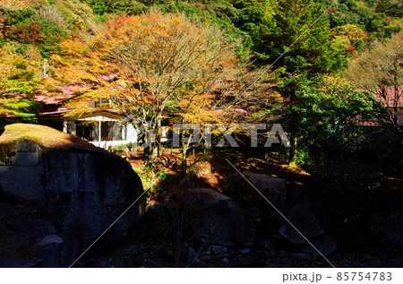 愛媛県滑床渓谷の目黒川の渓流と紅葉 愛媛県滑床渓谷の目黒川の渓流と紅葉 85754783
