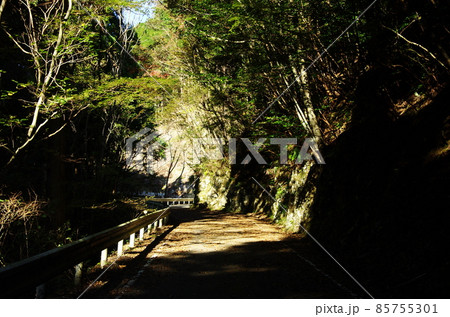 愛媛県滑床渓谷への黒尊林道 愛媛県滑床渓谷への黒尊林道 85755301