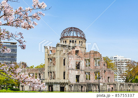 広島県広島市　満開の桜と原爆ドーム 85755337