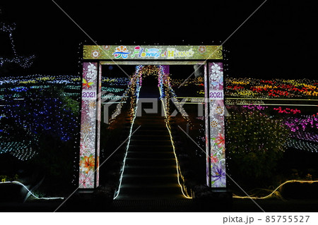 長島町（鹿児島県出水郡）初のイルミネーションイベント「フラワーズオブヒカリ」 85755527