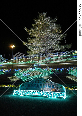 長島町（鹿児島県出水郡）初のイルミネーションイベント「フラワーズオブヒカリ」 85755535